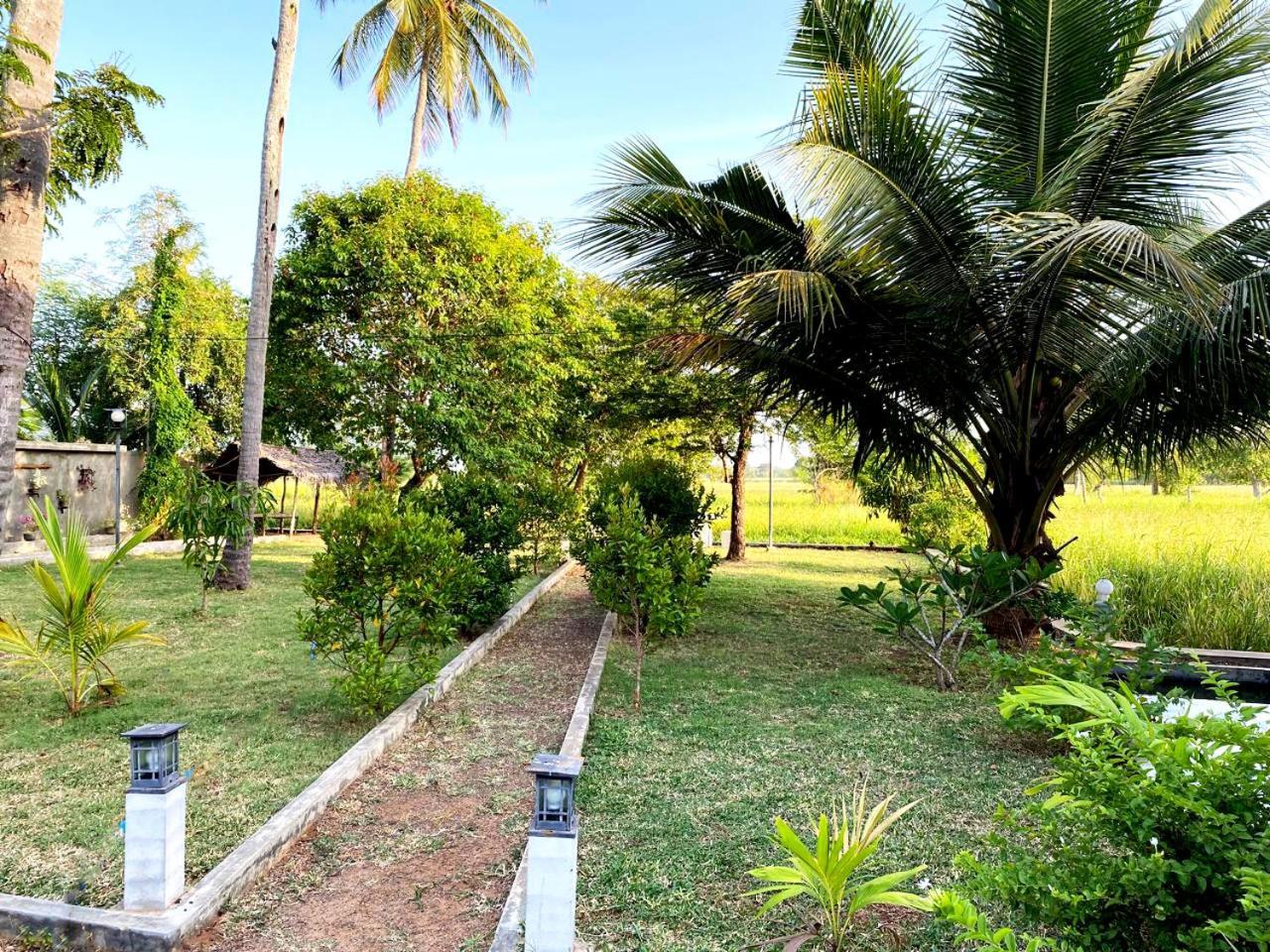 Athyantha Resort Anuradhapura Exteriör bild