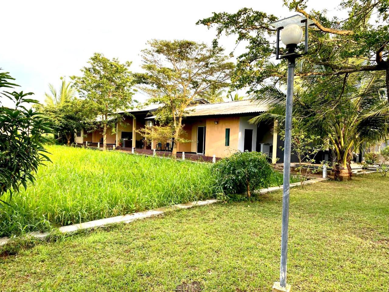 Athyantha Resort Anuradhapura Exteriör bild