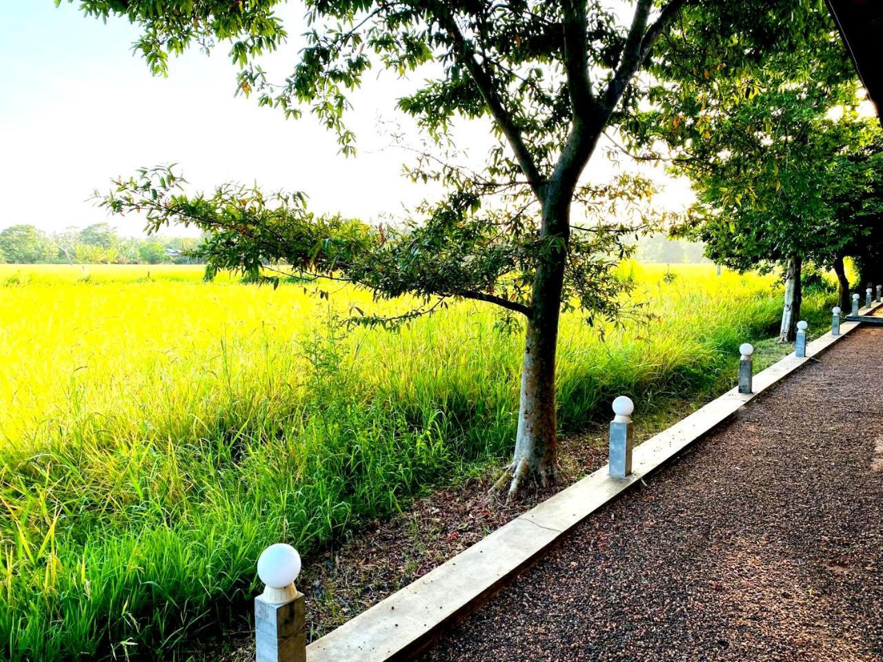 Athyantha Resort Anuradhapura Exteriör bild