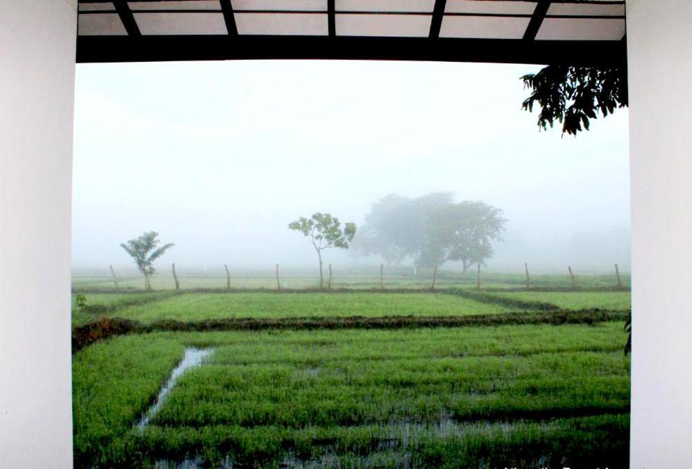 Athyantha Resort Anuradhapura Exteriör bild